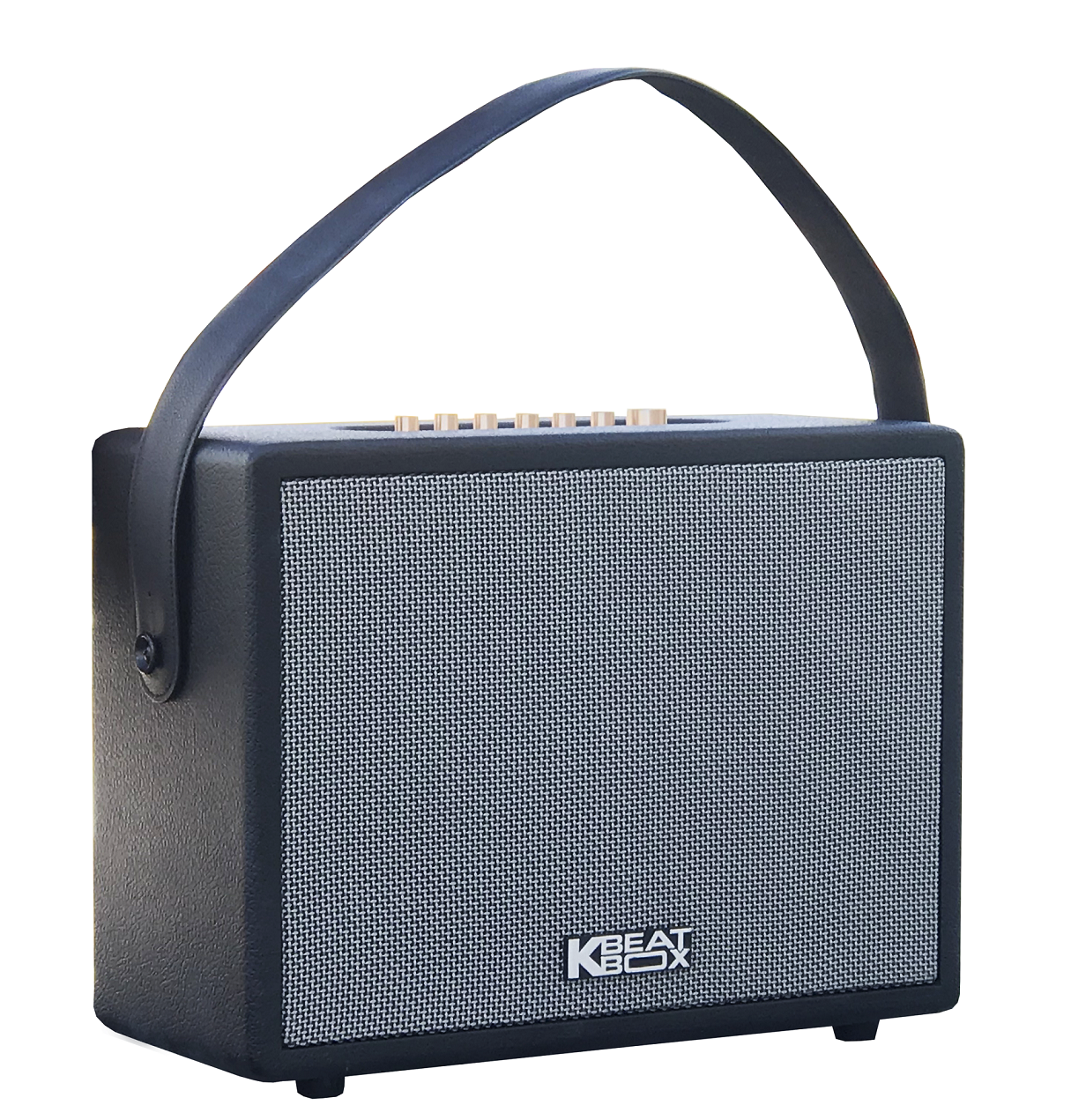 Dàn âm thanh di động xách tay mini ACNOS CS270