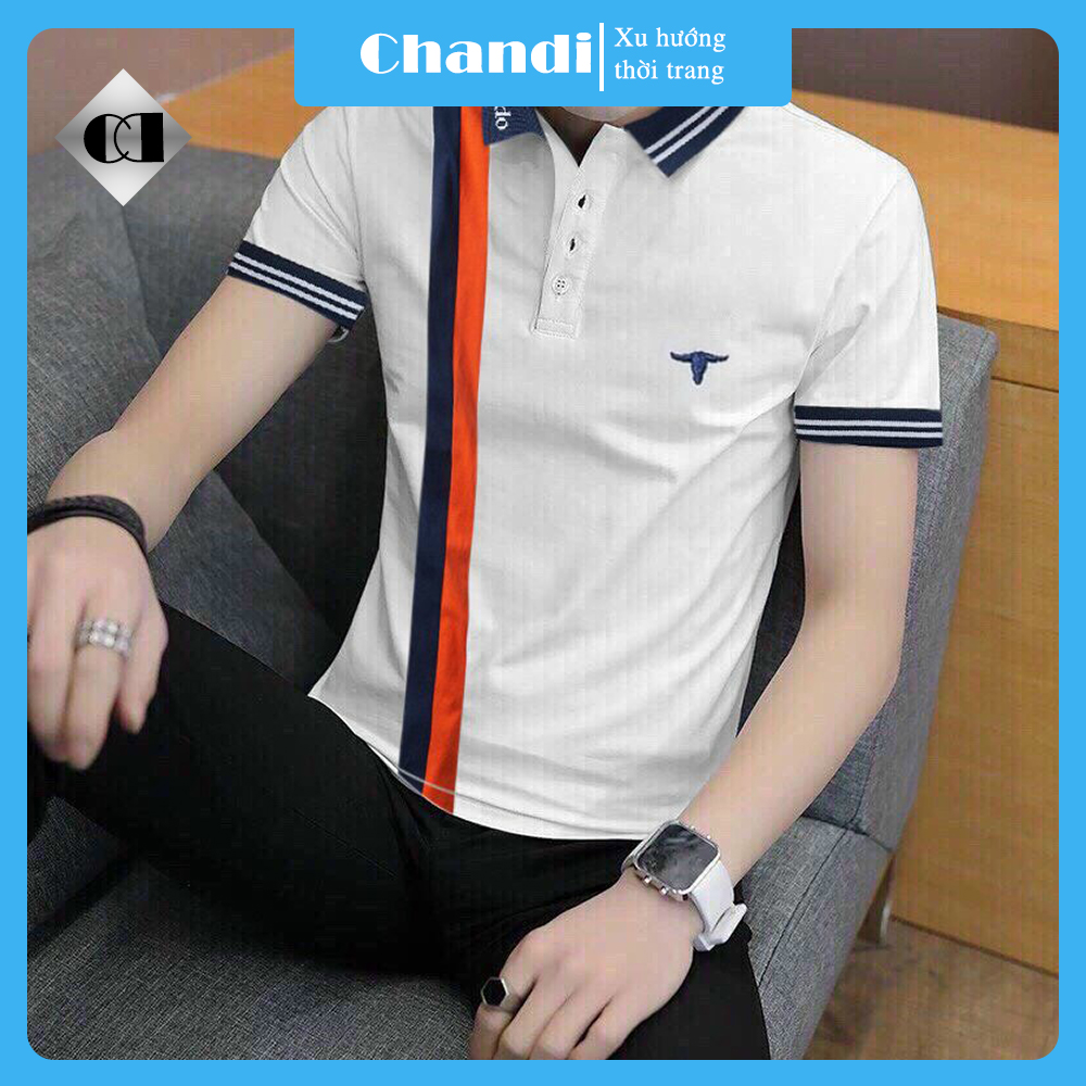 Áo Thun Polo Nam Tay Ngắn Unisex thương hiệu Chandi thiết kế cố bẻ thêu không bong tróc khi giặt PLN6