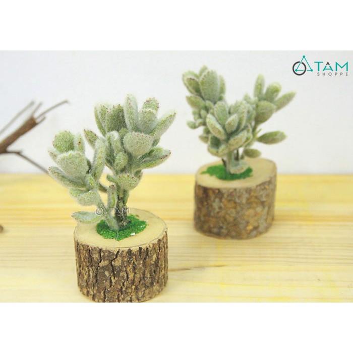 Chậu sen đá giả để bàn chậu gốc cây số 90
