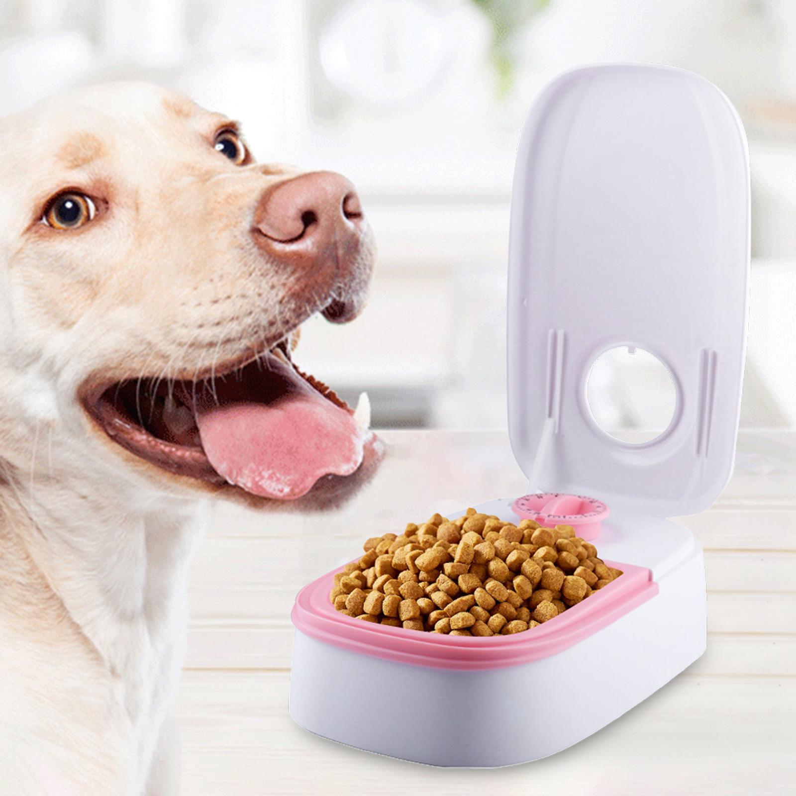 Automatic Pet Feeder Pet Feeding Electric Cat Feeder for Kitten Puppy