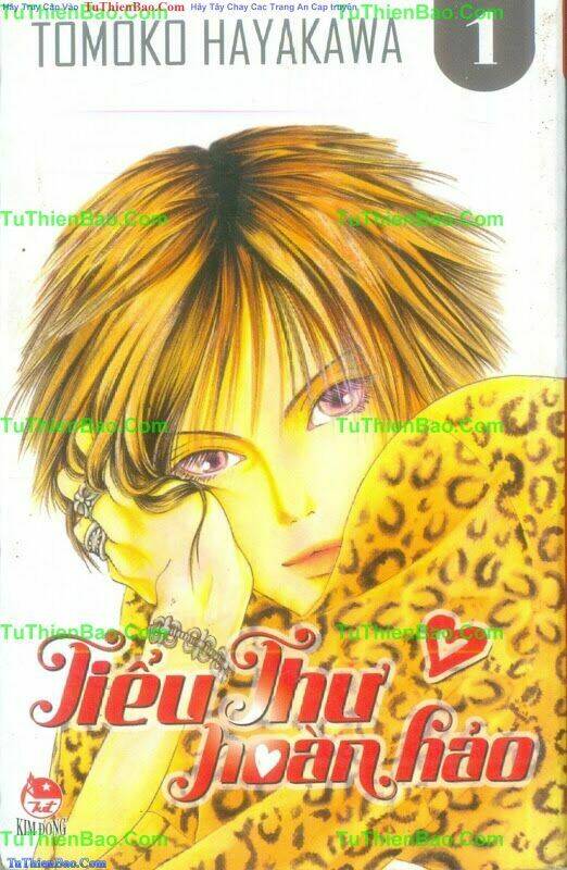 tiểu thư hoàn hảo chapter 1 1