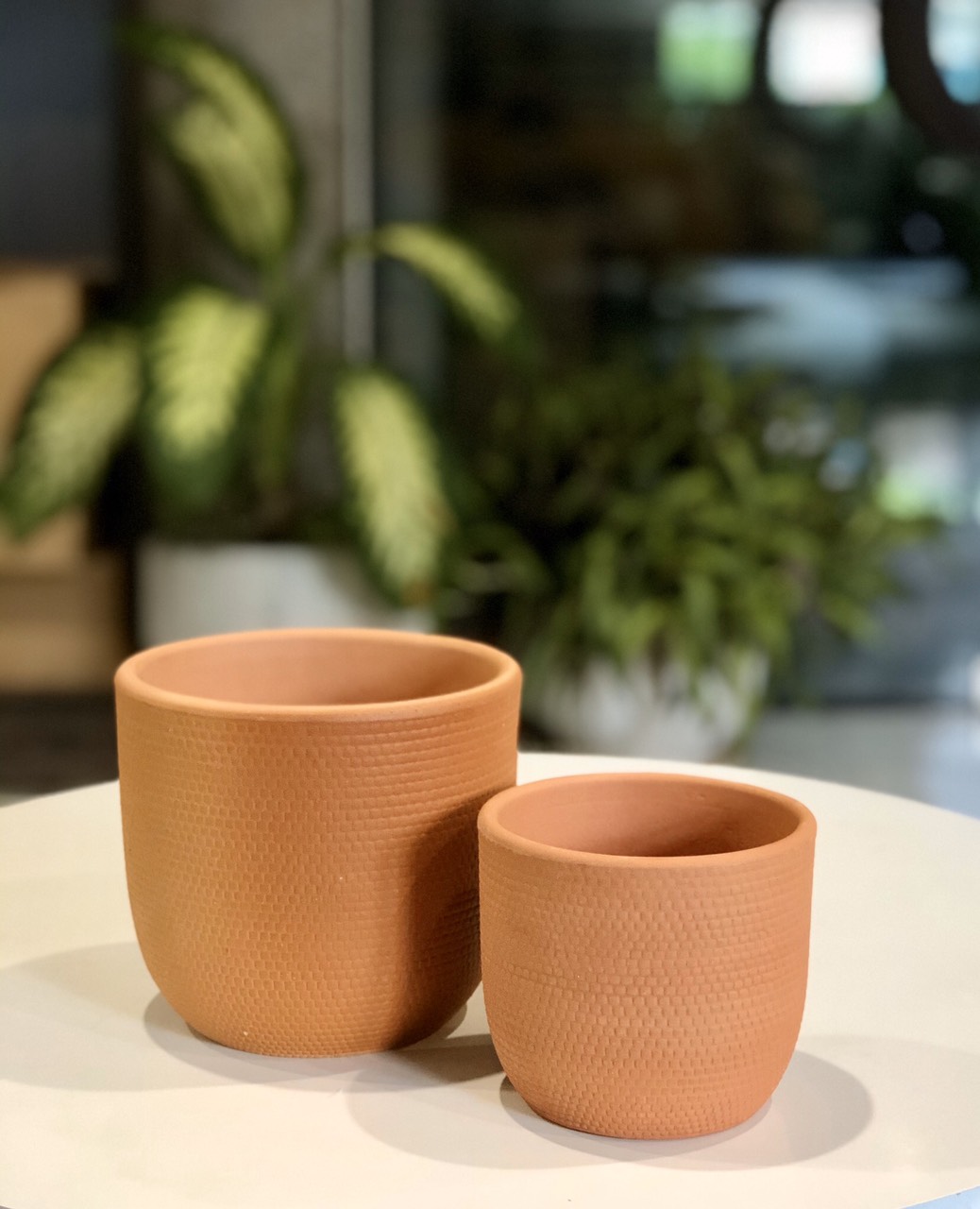 Combo 2 chậu đất nung hình trứng, một chậu trung và một chậu bé.