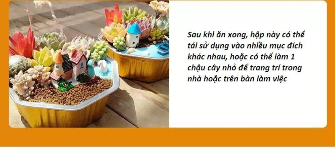 Cơm tự sôi Thịt kho kiểu tàu - chính hãng JINLINGYANG