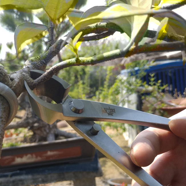 Kìm cạp xéo thép trắng bonsai MSTWA