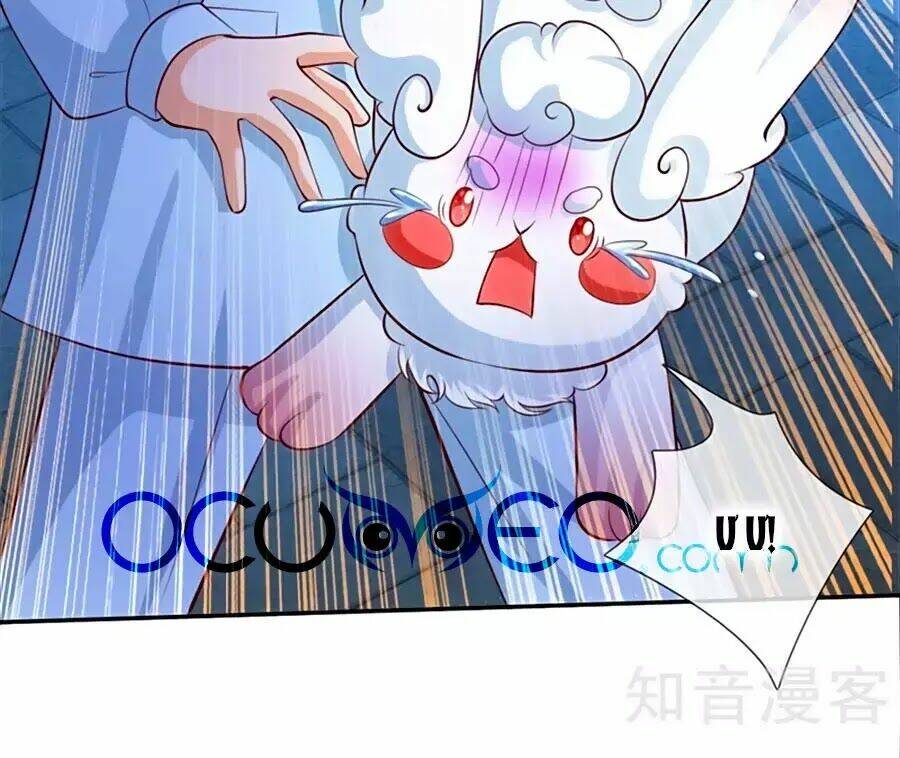 bỗng một ngày trở thành con gái nhà vua chapter 113 6