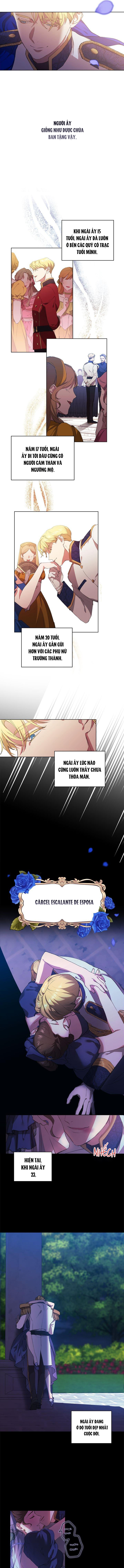 tôi mới là người quyết định cuộc hôn nhân này chapter 1 5