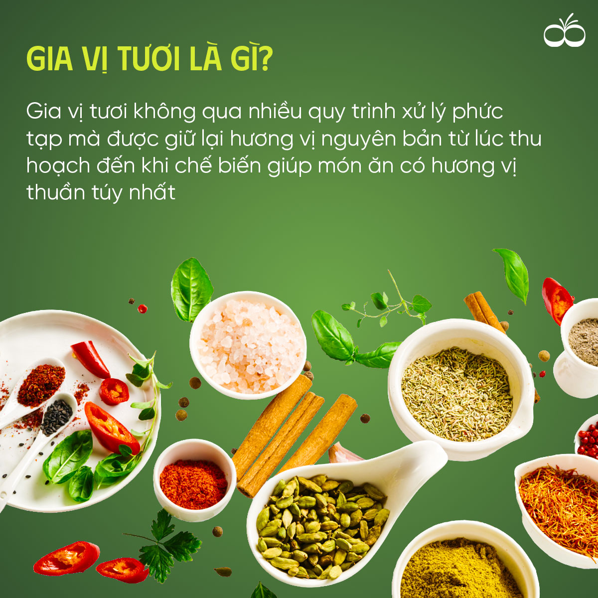 [SET LẨU - CHẤM] 1 Lon Xốt lẩu Chua Cay Cicook 400G + 1 Hộp Xốt chấm Muối Ớt Xanh đa năng Cicook (5 tặng 1) 210G