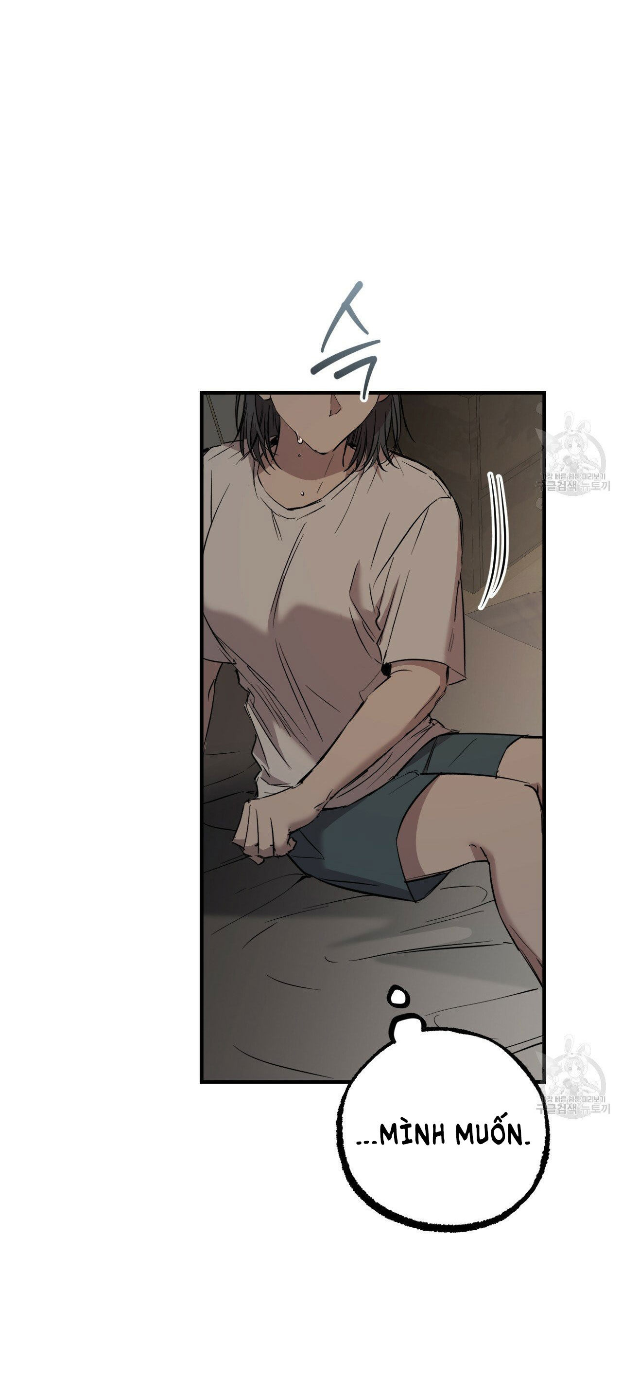 những chú thỏ của hapypy chapter 56.1 12