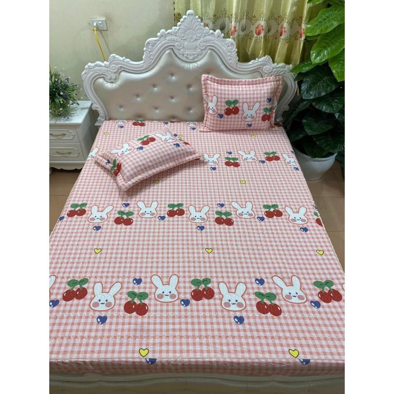 Bộ ga gối trần bông cotton loại đẹp