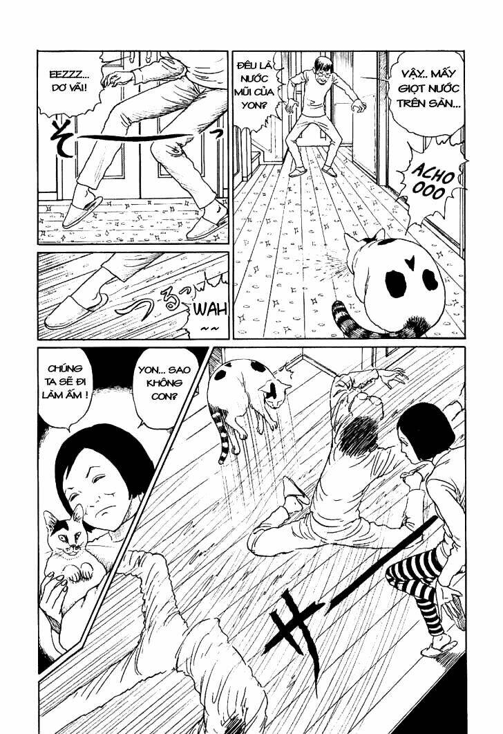 ito junji cat's diary chapter 10 7