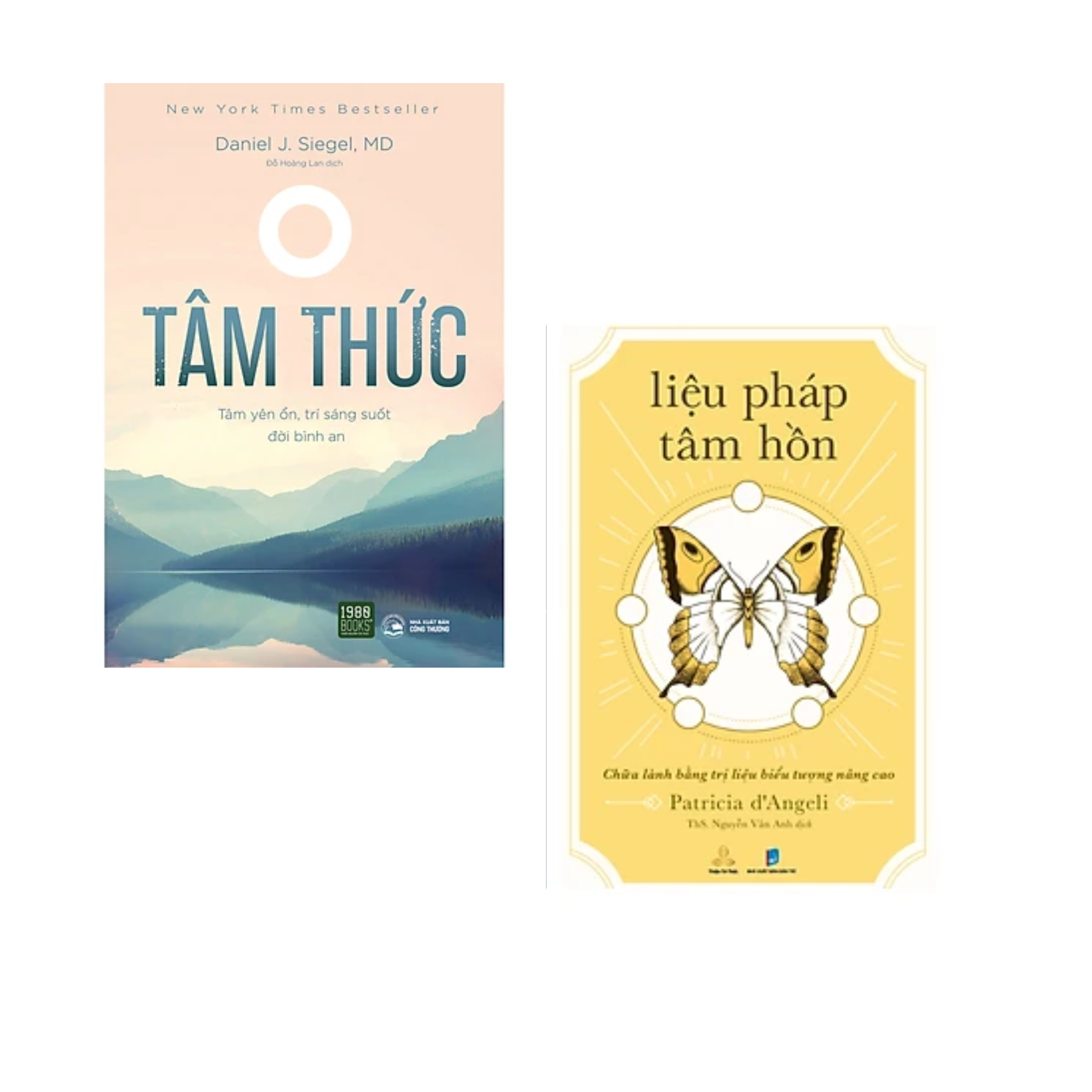 Combo 2Q Sách Chữa Lành : Liệu Pháp Tâm Hồn - Chữa Lành Bằng Trị Liệu Biểu Tượng Nâng Cao +  Tâm Thức ( Sách Tư Duy/ Tâm Linh / Năng Lực Huyền Bí )