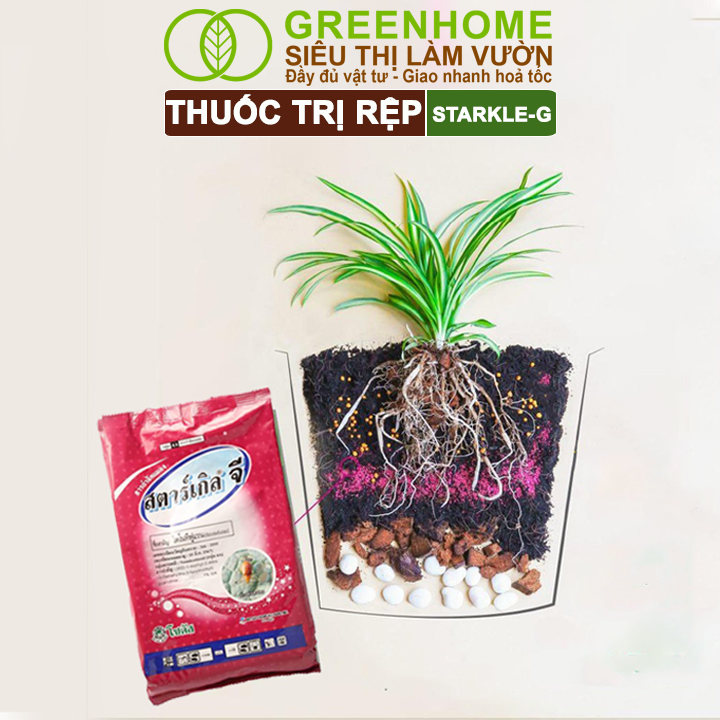 Thuốc Tím Trị Rệp Greenhome, Starkle-G, Bao 50gr, Lưu Dẫn, An Toàn, Hiệu Quả, Dùng Cho Sen Đá, Xương Rồng, Hoa hồng