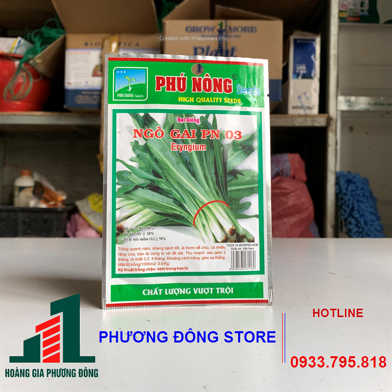 Combo 5-10 gói hạt giống rau ngò gai kháng bệnh tốt, nảy mầm cao