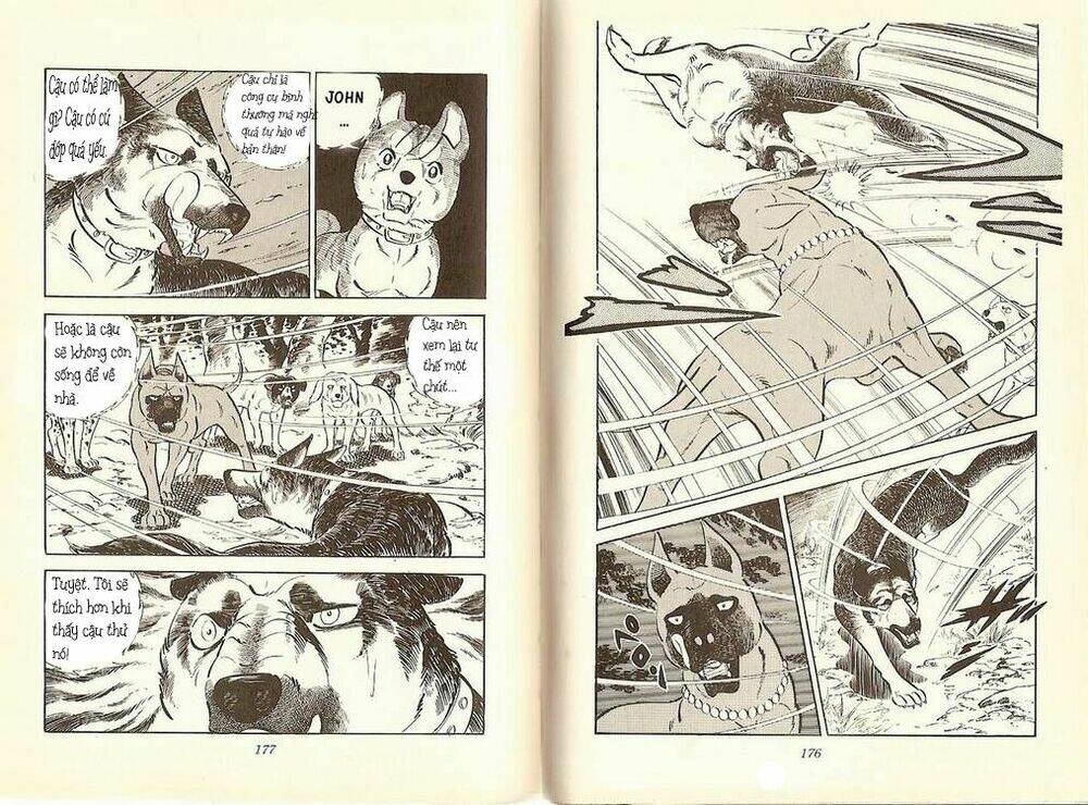 chú chó có nghĩa - ginga nagareboshi gin chapter 10 10