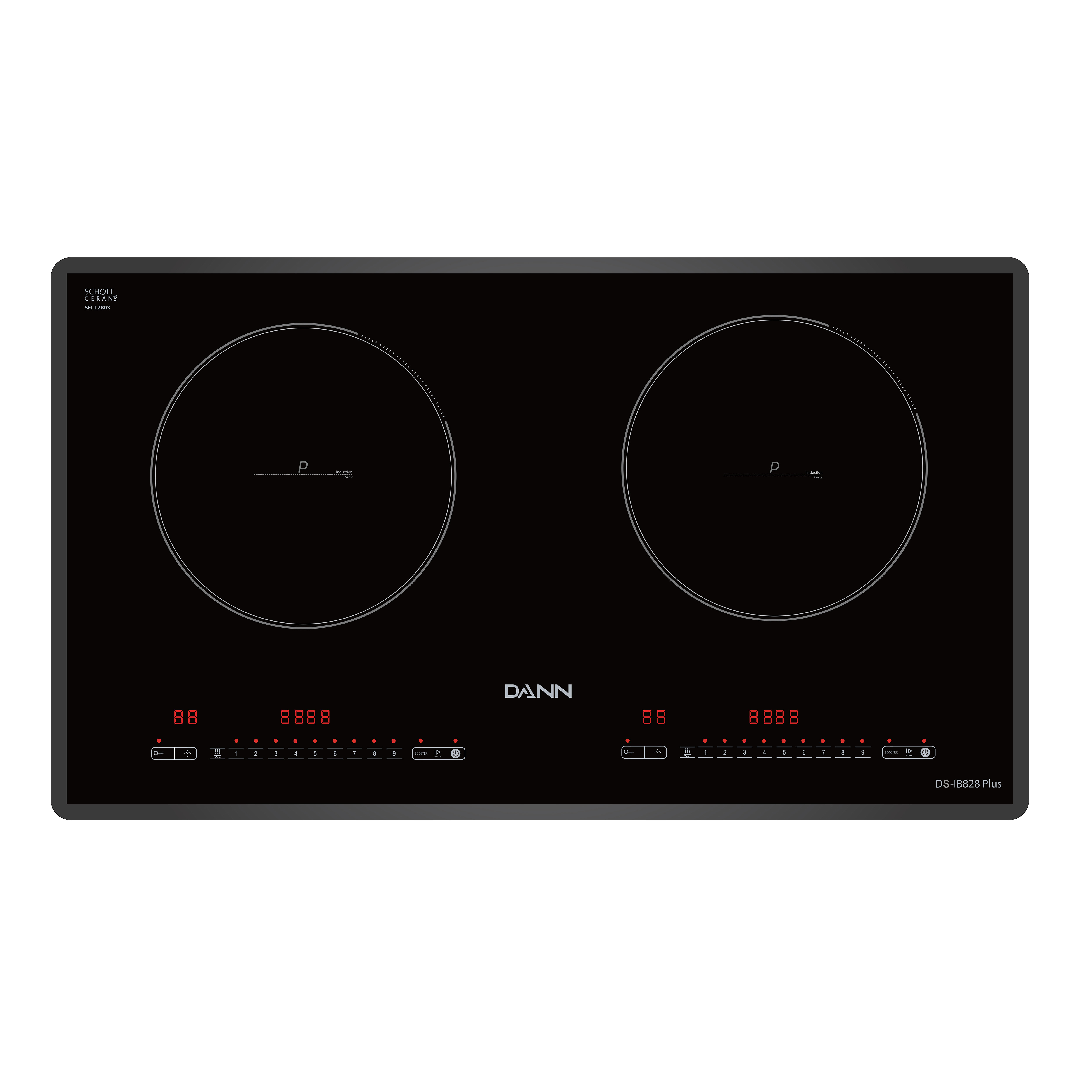 Bếp từ Dann DS-IB828 Plus