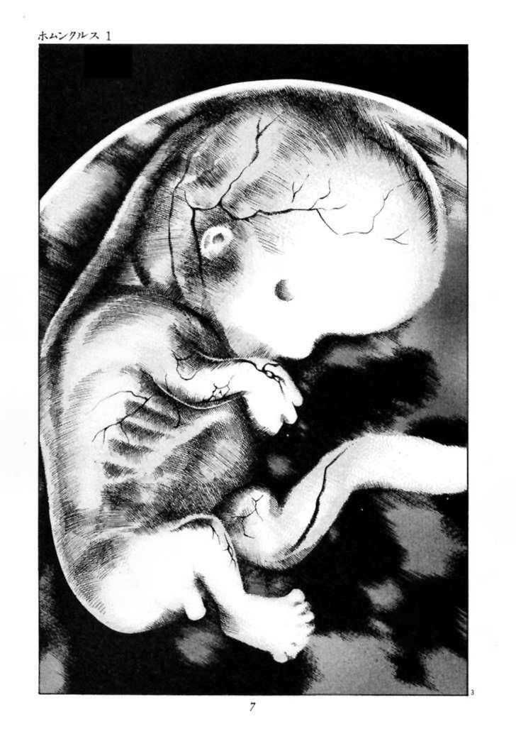 homunculus chapter 1 7