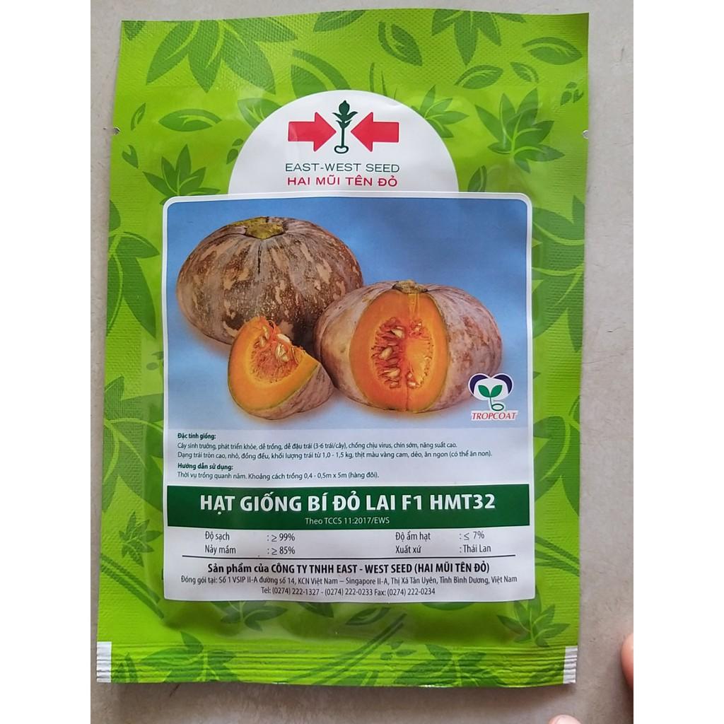 Hạt giống bí đỏ lai F1 HMT32