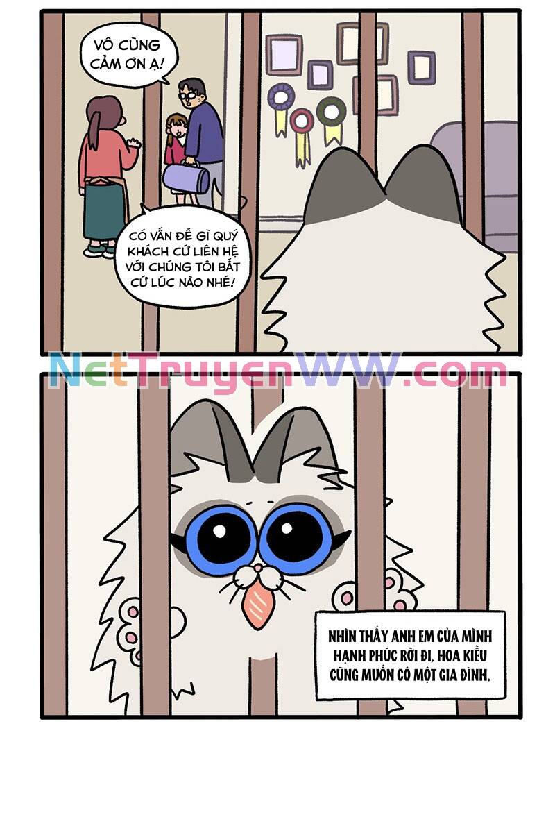 a mãn và mạch trà chapter 47 4