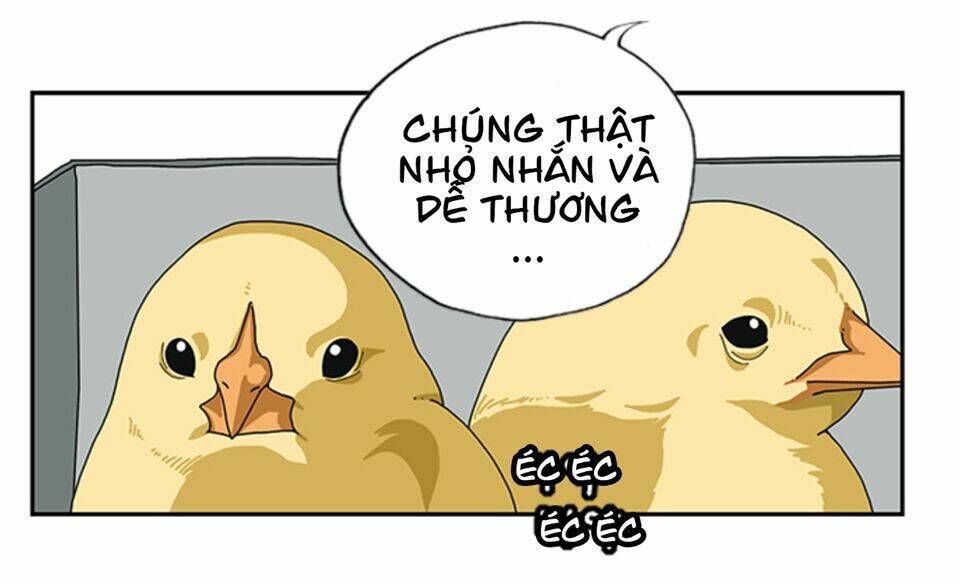 cậu bé lập dị chapter 14 13