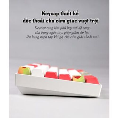 Bàn phím cơ không dây Newmen GM840 Hot Swap Outemu Switch - Hàng chính hãng