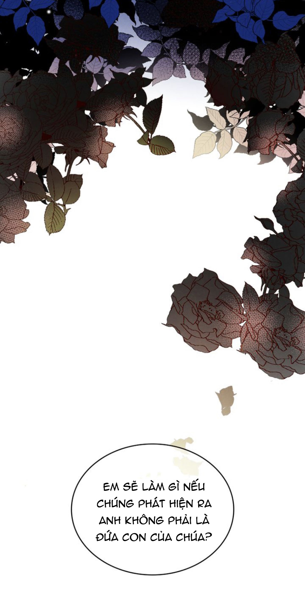 ánh sáng của bình minh chapter 0 34