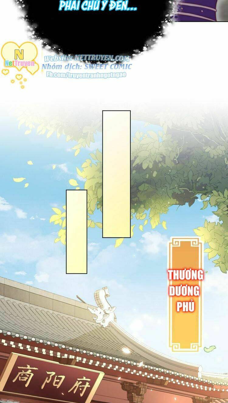 công chúa tại thượng: quốc sư mời xuống kiệu chapter 21 17