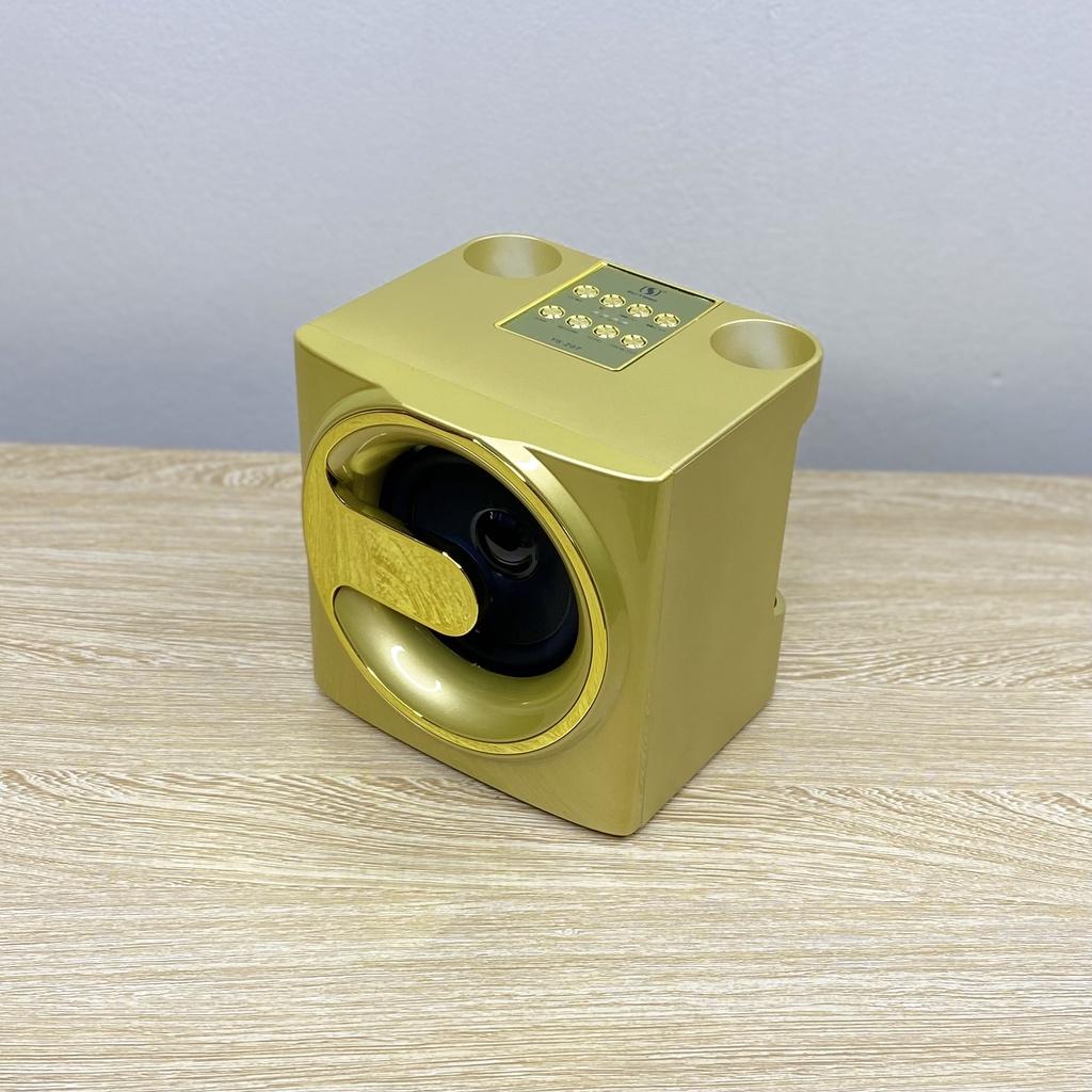 Loa Karaoke Bluetooth YS-207 Kèm 2 Micro Không Dây