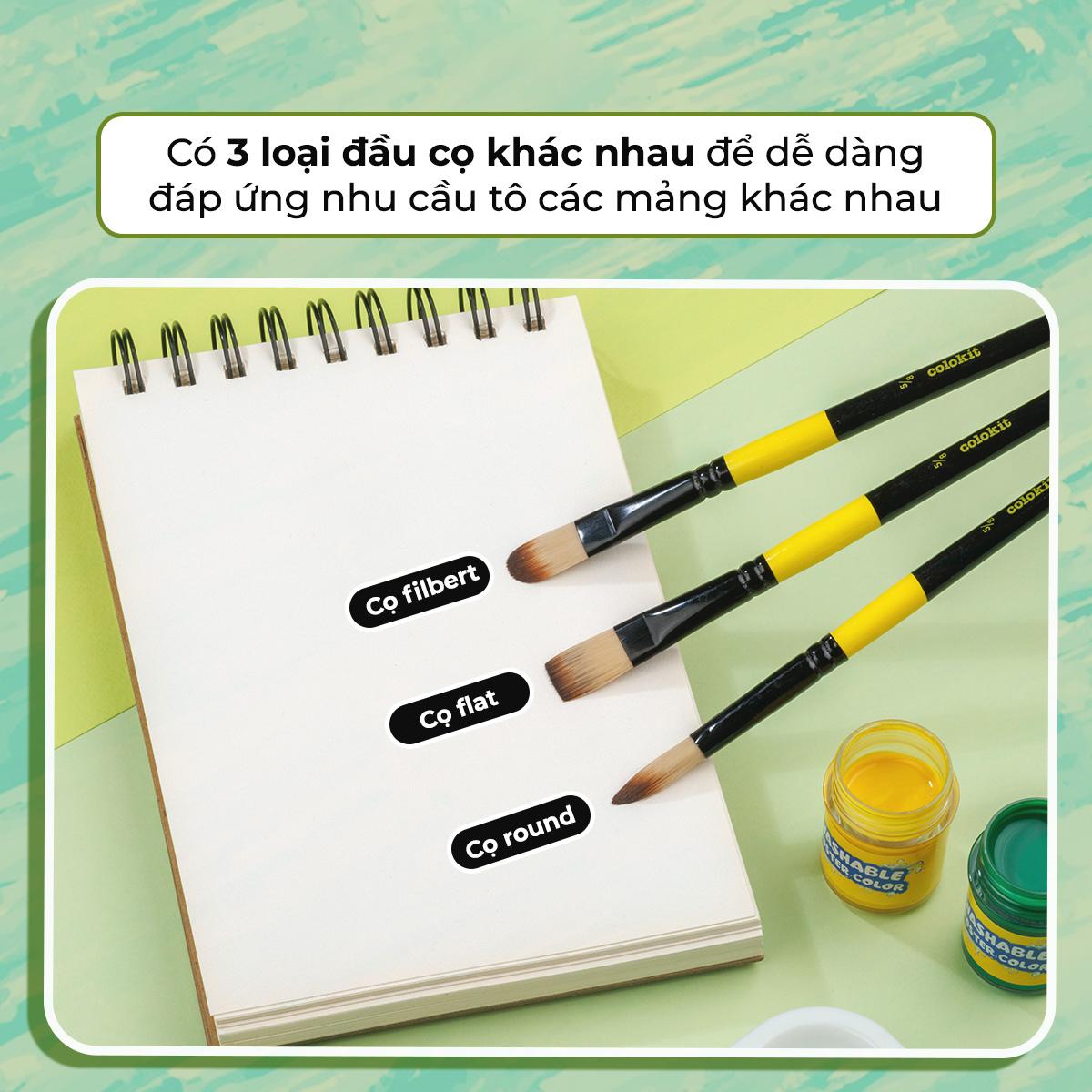 Bộ 5 Cọ Vẽ Màu Nước Đầu Filbert - Colokit BRW-C005