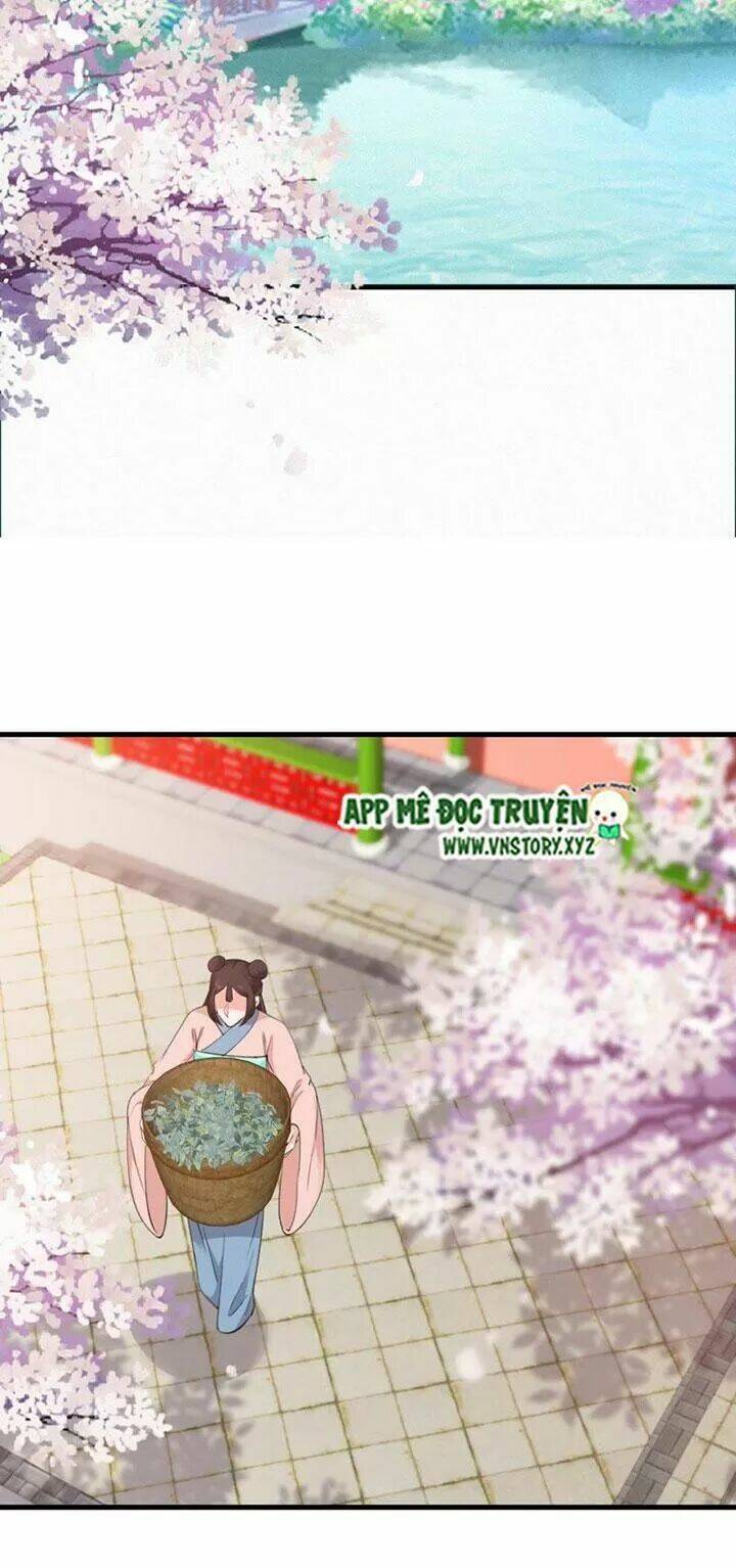 thiên hương mỹ nhân chapter 72 11