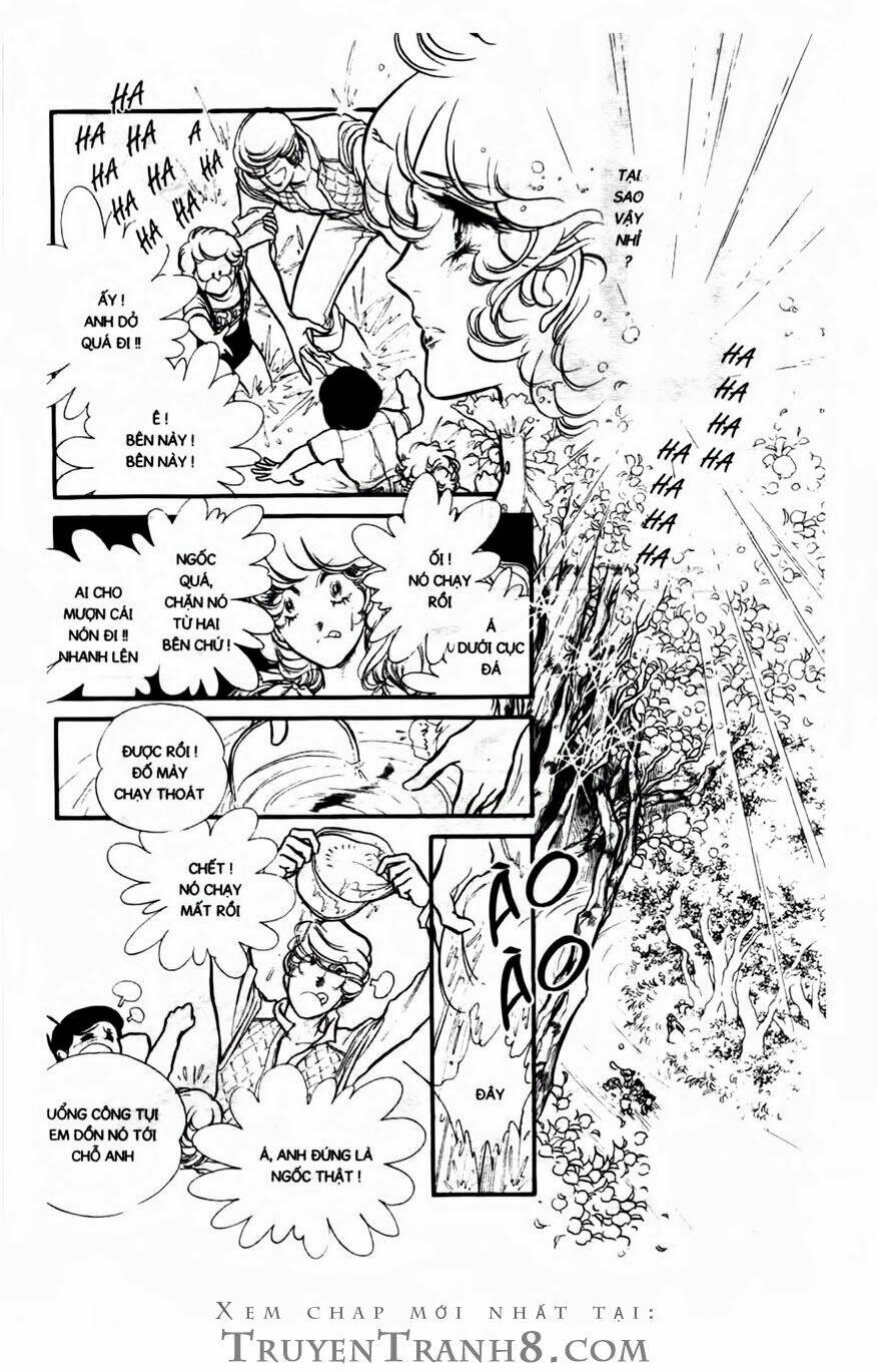 swan - vũ khúc thiên nga chapter 117 13