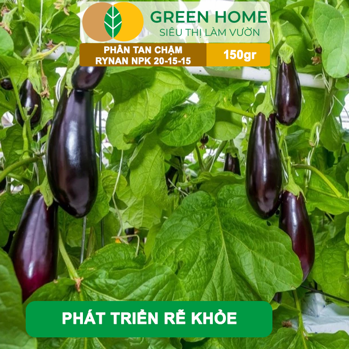 Phân Tan Chậm GreenHome, Rynan NPK 20-15-15, Hũ 150gr,Dùng Cho Loại Cây Họ Leo Bầu Bí, Mướp, Dưa Leo