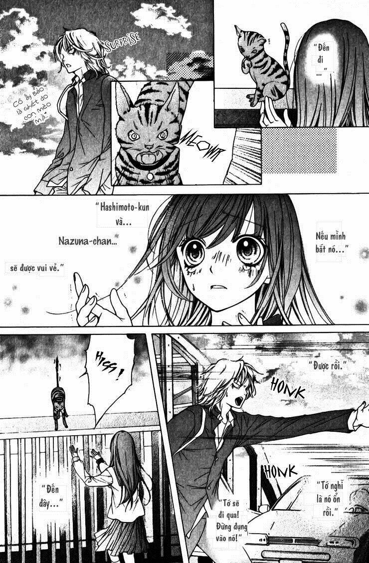 yamamoto zenjirou to moushimasu chapter 15 49