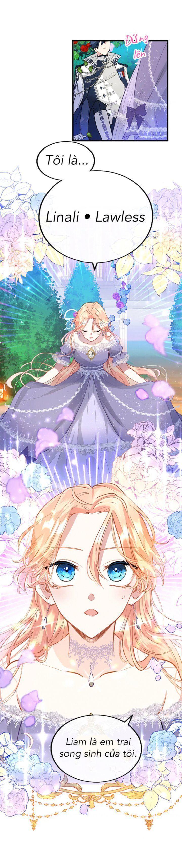 đại tiểu thư tại sao lại cải nam trang chapter 19 19