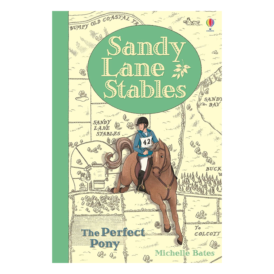 Usborne Sandy Lane Stables The Perfect Pony