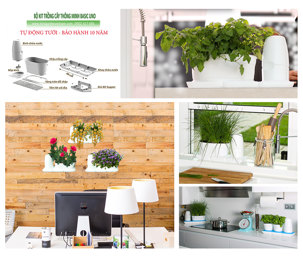 Vòng Phụ Kiện 5 Màu Color Ring Thay Thế Vòng Chậu Kit Trồng Cây Tự Dưỡng nhập khẩu Bồ Đào Nha Basic S và Basic UNO