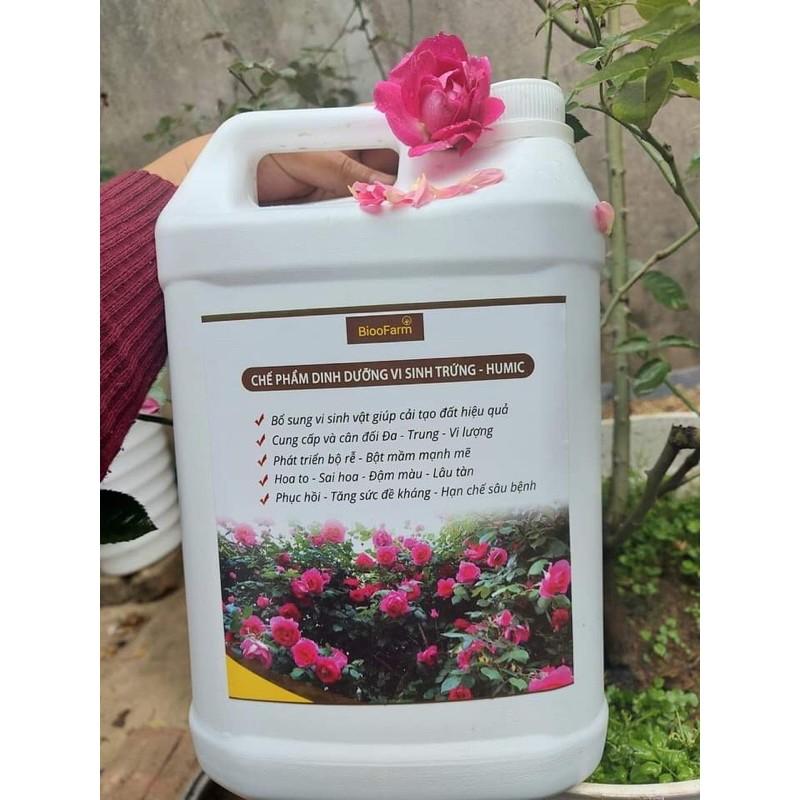 Chế phẩm dinh dưỡng vi sinh trứng -humic can 5 lít
