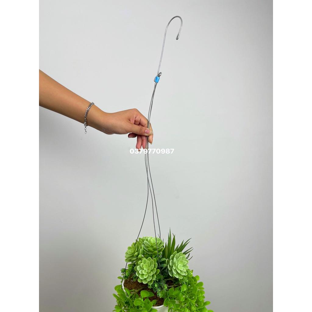 Chậu cây rủ trang trí, cụm dây leo rủ trang trí cho cà phê, nhà hàng quán ăn decor
