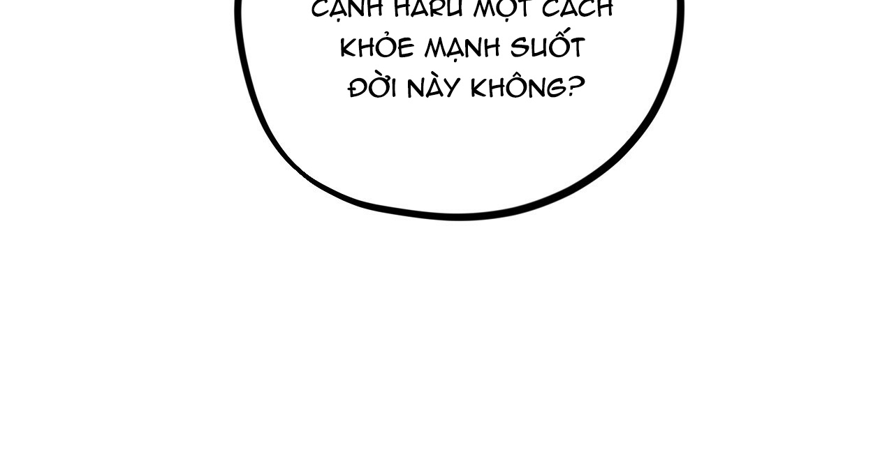 đàn thỏ của habibi chapter 16 133