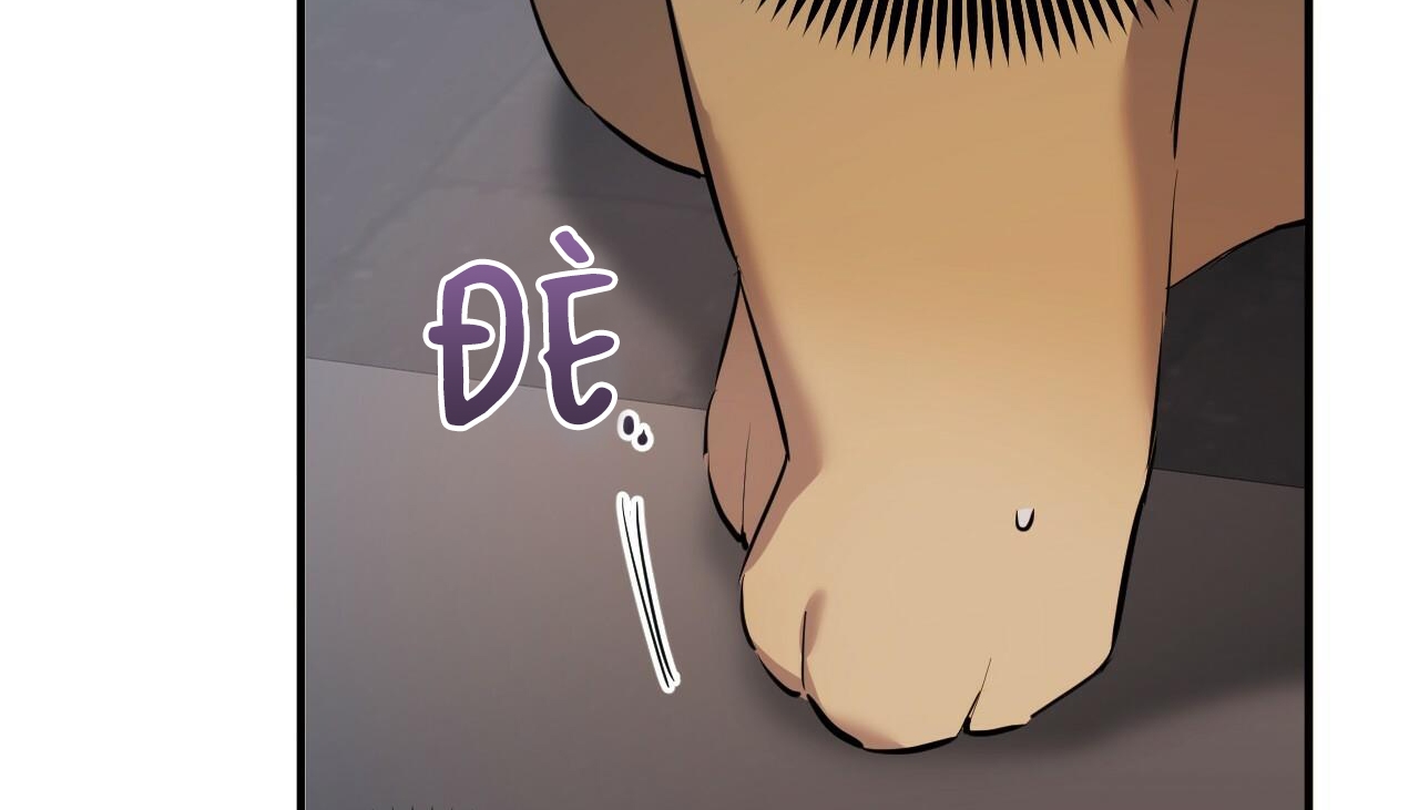 đàn thỏ của habibi chapter 47 255