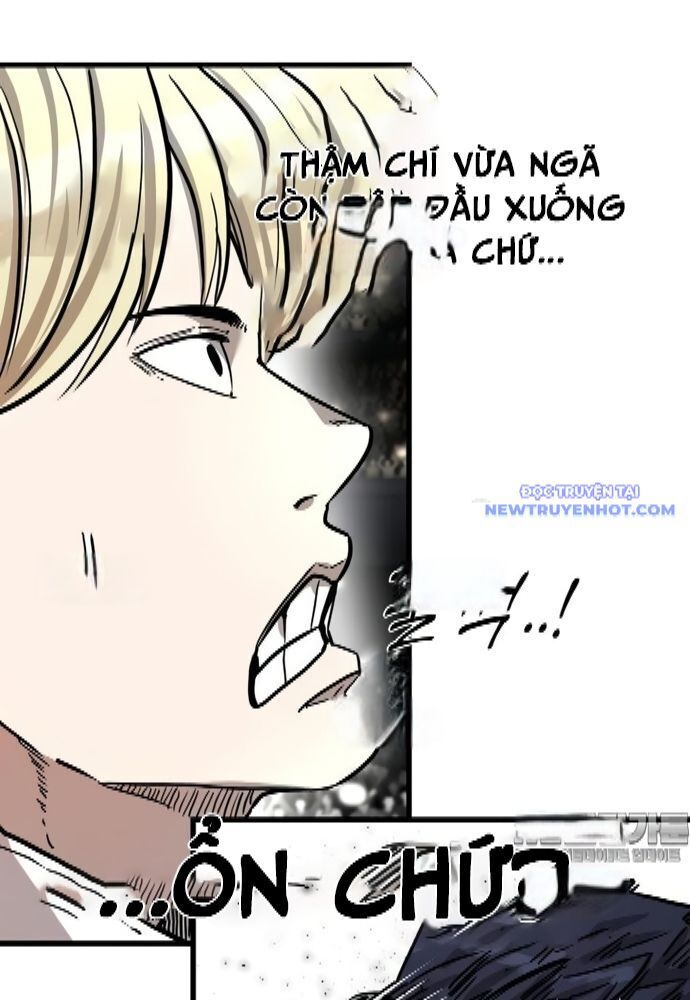 shark - cá mập chapter 330 38