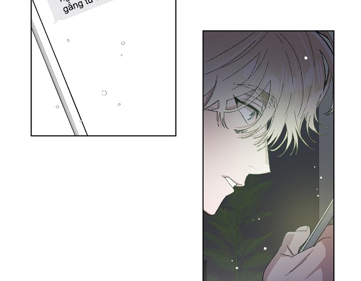 chàng tuấn mã của tôi chapter 28 83