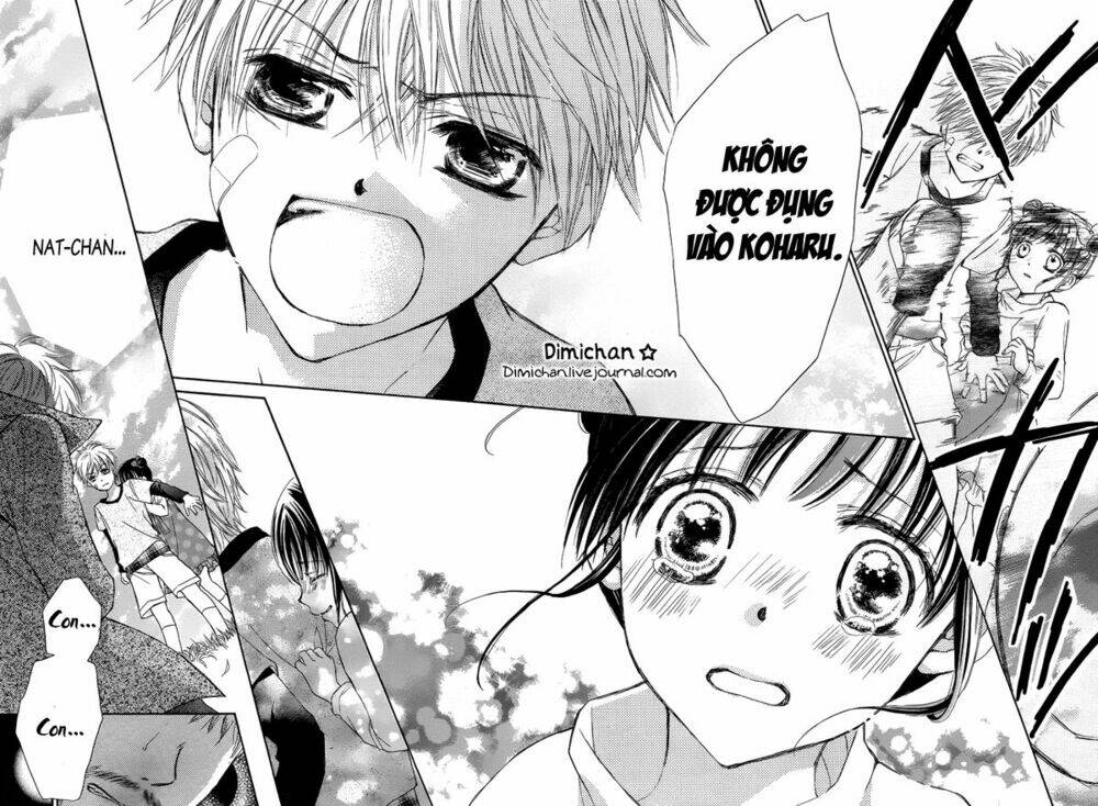 hachimitsu ni hatsukoi chapter 3.5 16