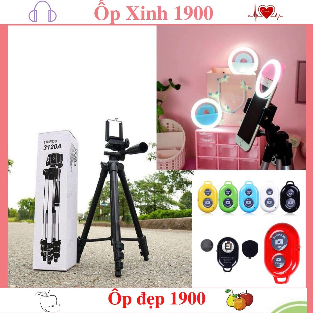 Gậy 3 Chân Tripod 3120 Chuyên Giá Đỡ Chụp Hình Live Stream