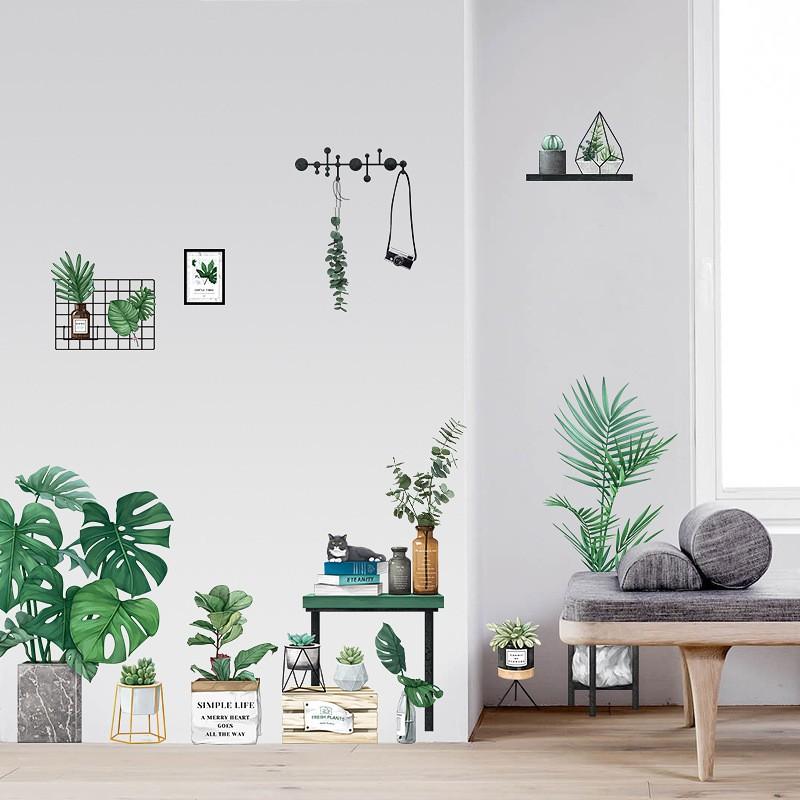 DECAL DÁN TƯỜNG PHONG CÁCH HÀN QUỐC NHIỆT ĐỚI Chậu cây xanh SIÊU TO NHẤT 01