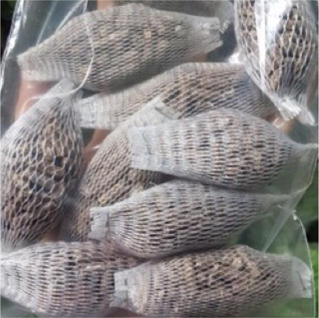 Phân trồng lan Cao Cấp, phân tổng hợp Dưỡng lan mọi giai đoạn