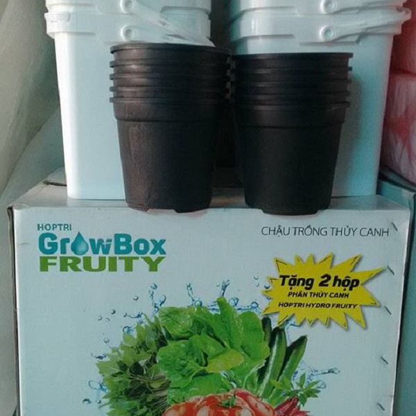 Bộ 10 THÙNG TRỒNG THỦY CANH CHO CÂY ĂN QUẢ GROWBOX FRUITY