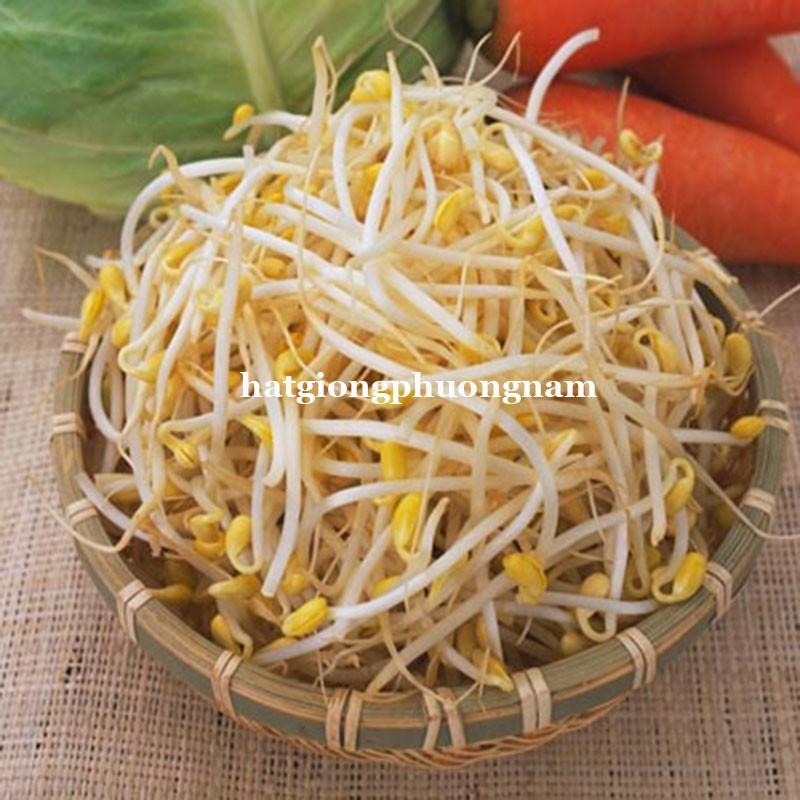 HẠT GIỐNG RAU MẦM GIÁ ĐẬU XANH