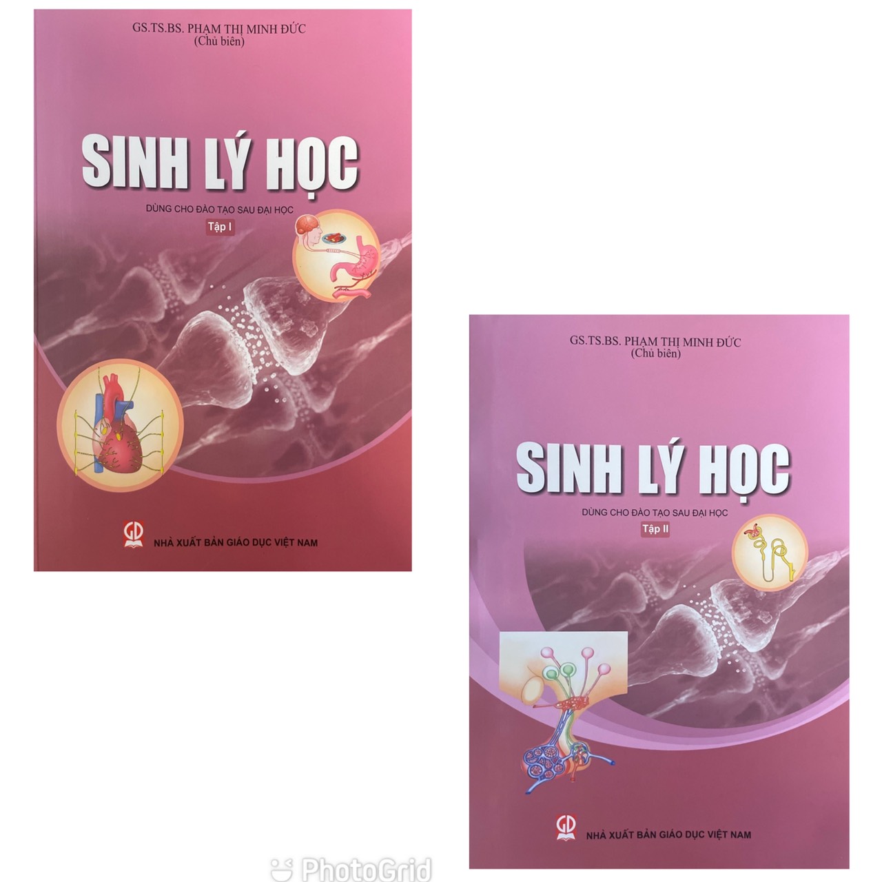 Combo Sinh Lý Học Tập 1 + Tập 2 - Dùng Cho Đào Tạo Sau Đại Học