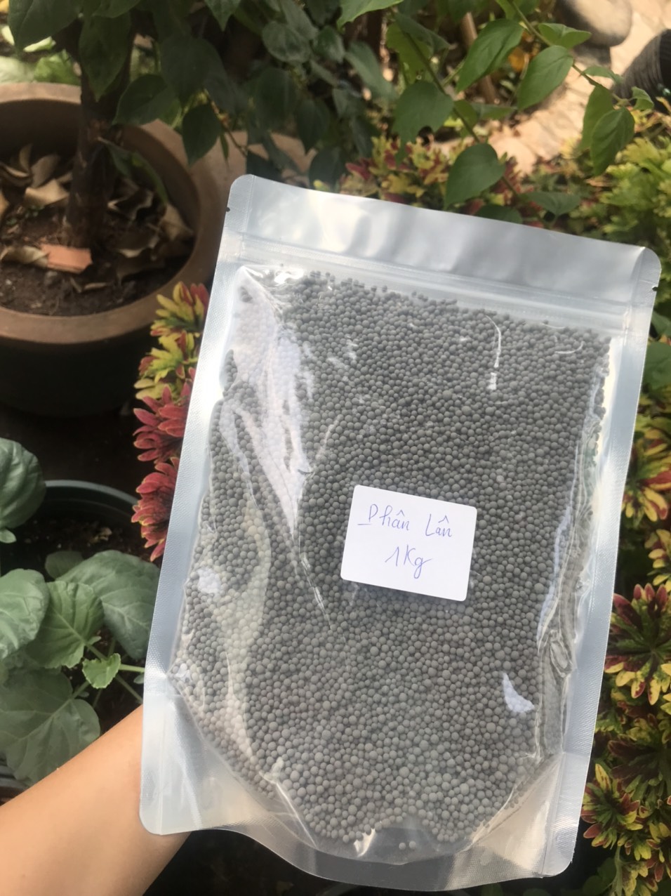 Phân lân gói 1kg - Super Lân Canxi - thần dược cho cây trồng
