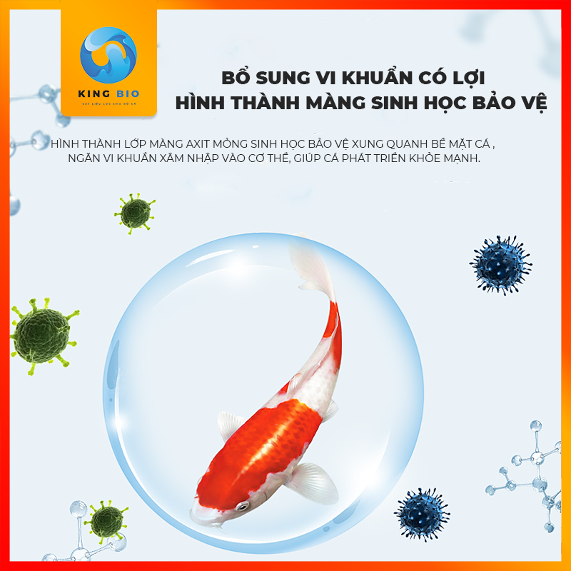 Yee Liquid State Universal chế phẩm sinh học phòng ngừa, trị bệnh nấm và các bệnh ngoài da cho cá